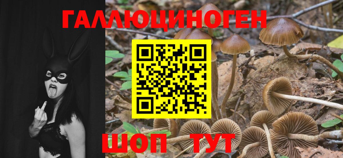Асино  Псилоцибиновые грибы мухоморы  Вход с VPN 