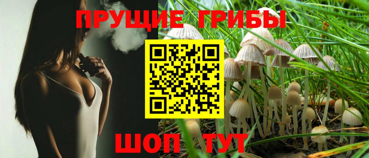 Галлюциногенные грибы GOLDEN TEACHER  Псилоцибиновые грибы Psilocybe  Асино 