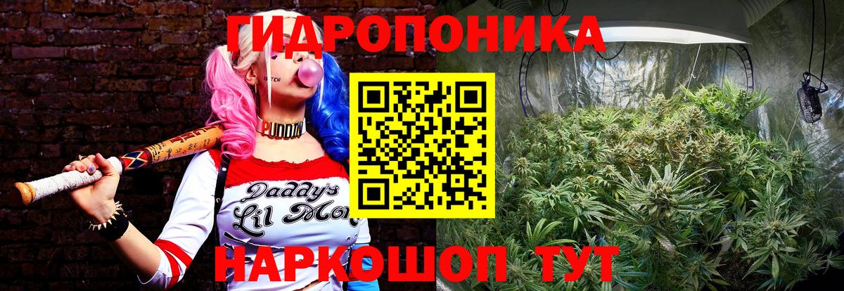Шишки марихуана марихуана  Конопля White Widow  Вход с VPN  Асино  Бошки Шишки Bruce Banner 